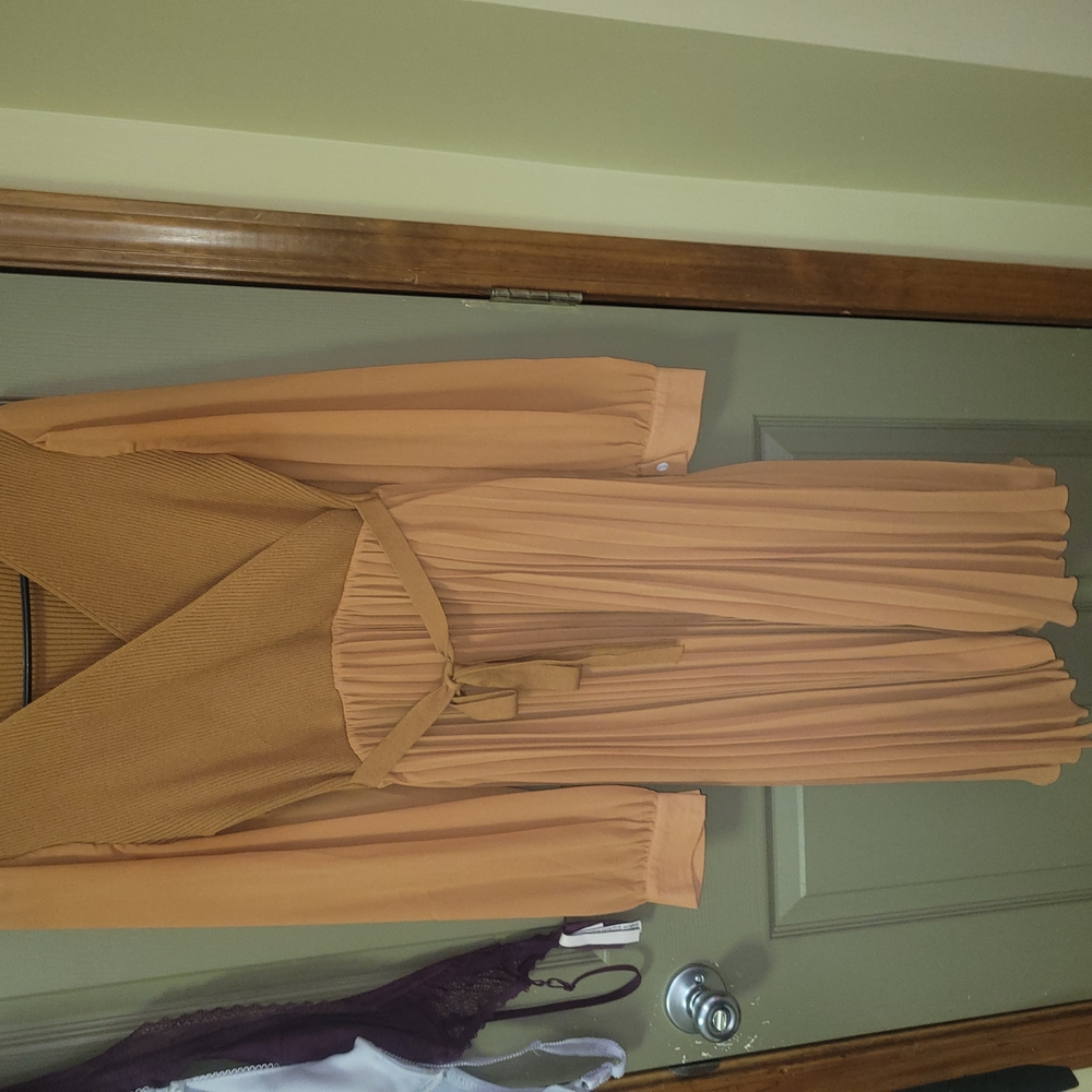 Elegant Tan Pleated Dress